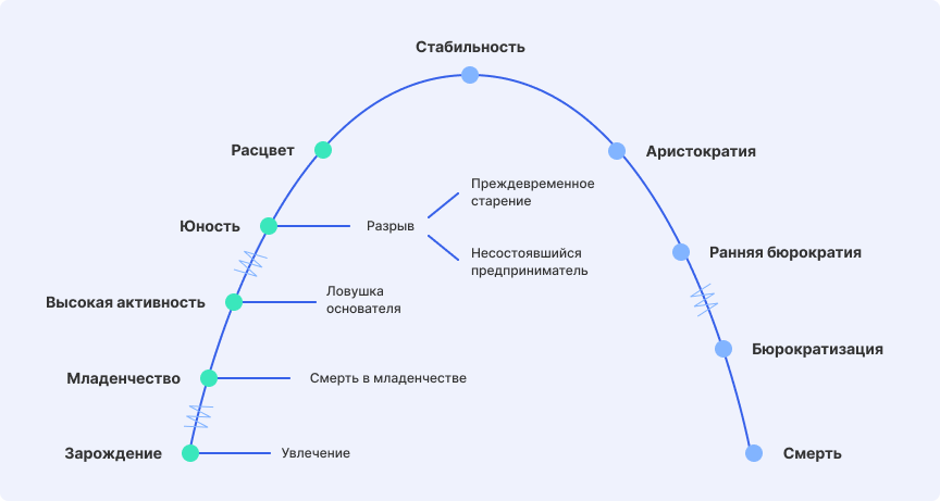 Циклы развития бизнеса